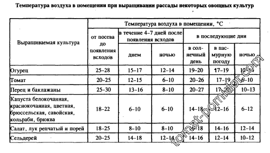 температура при выращивании рассады