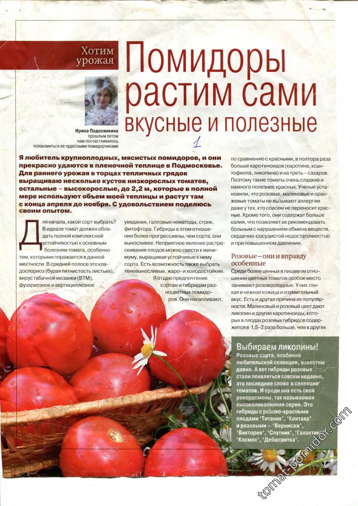 О выращивании томатов