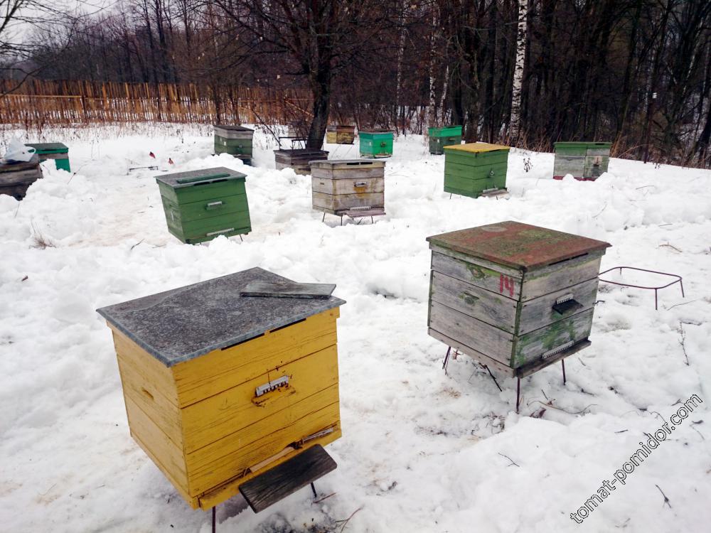 Вынос ульев на пасеке 28.02.15г.