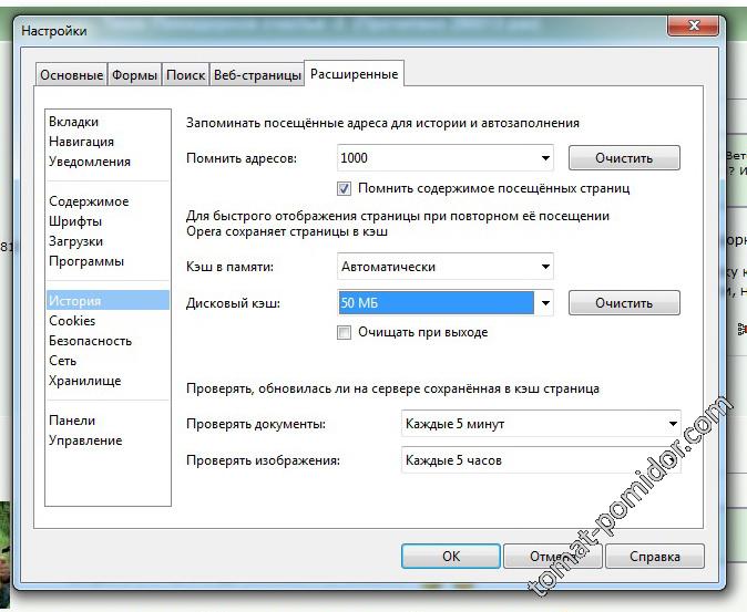 Очистка кэша в Опере
