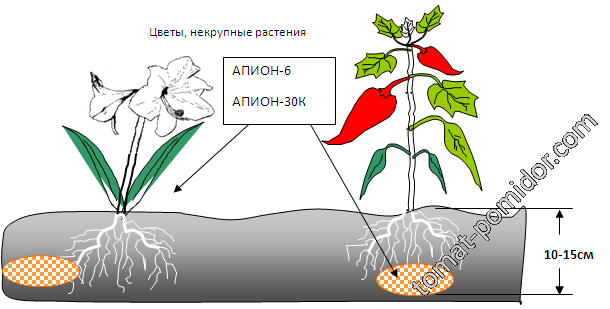 Апион