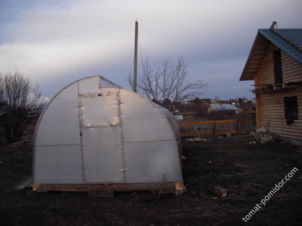 Теплица день 1 (2)