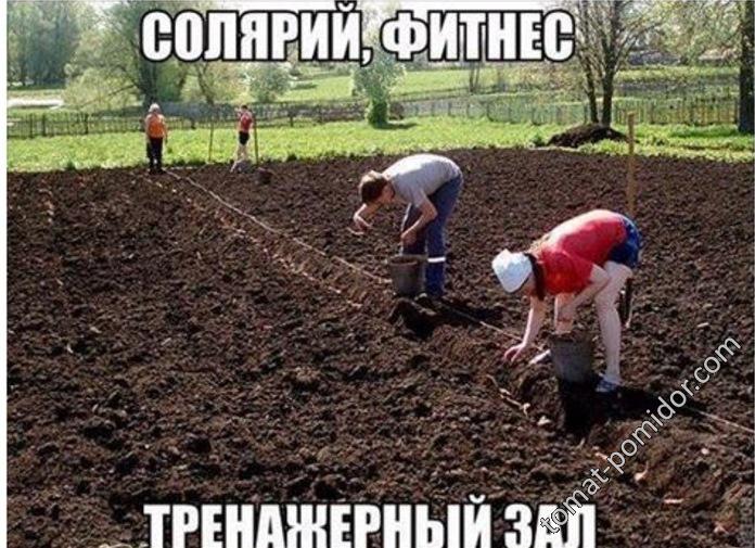 С наступающим праздником весны и труда!