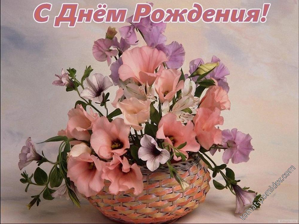 др
