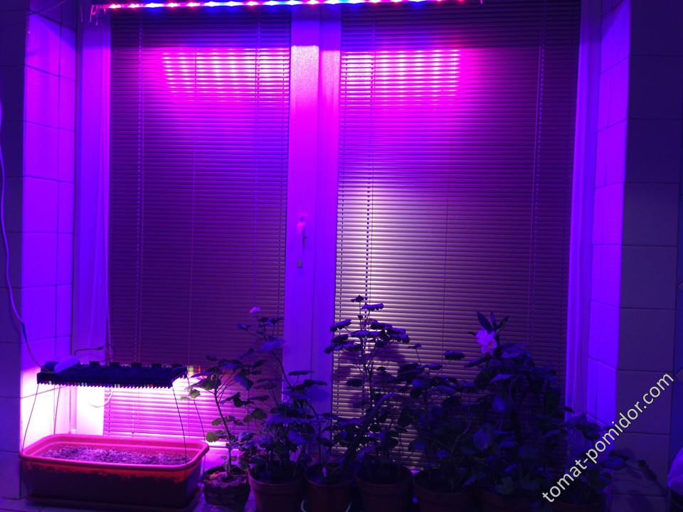 LED Window