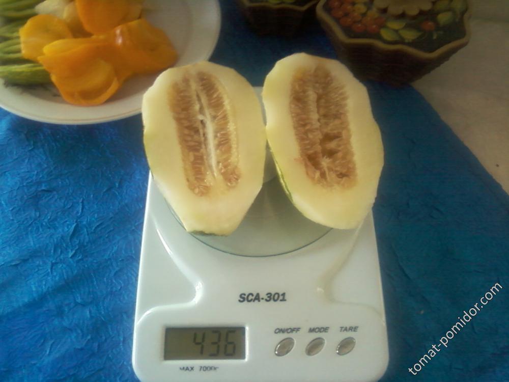 Огурдыня.