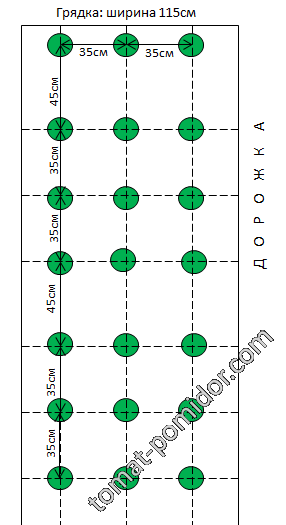 Схема посадки 2015
