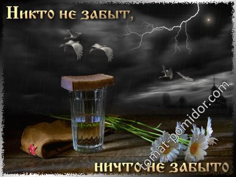 Никто не забыт...ничто не забыто!
