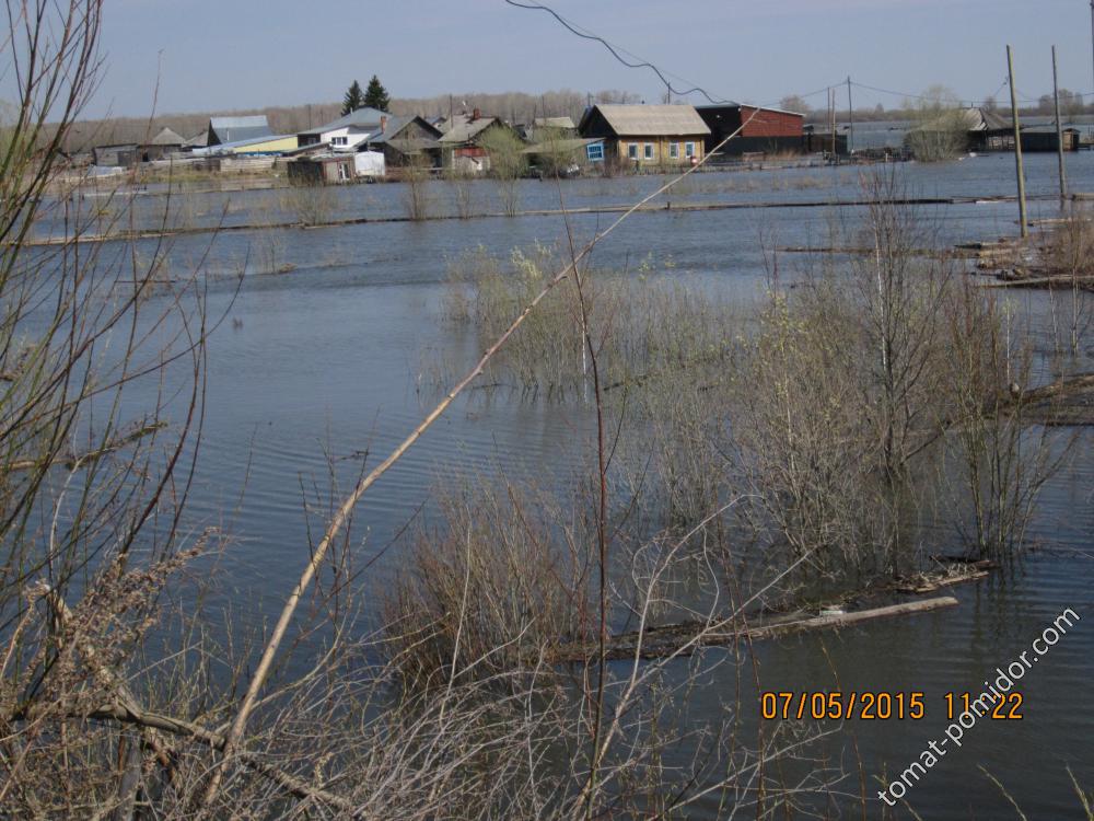 Разлив на р.Обь