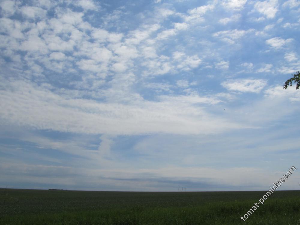 Небо и поле