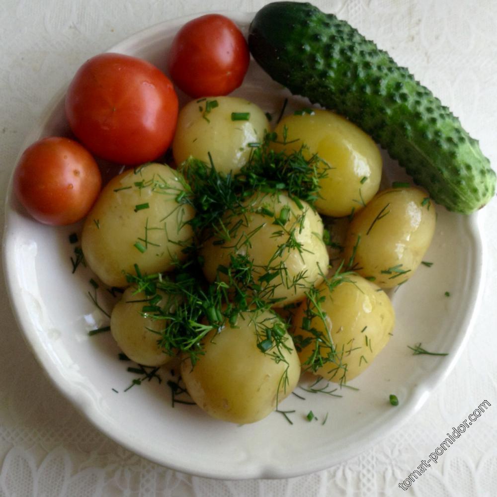 Первая картошечка