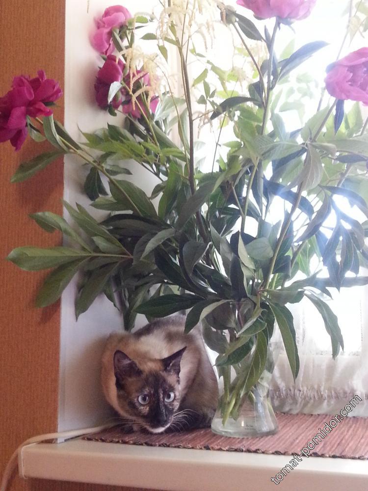 Тося 9