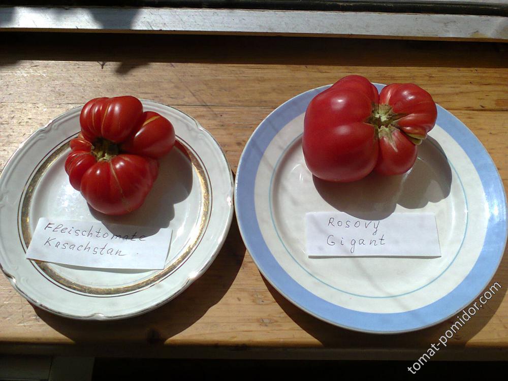 Fleischtomate Kasachstan и Розовый гигант