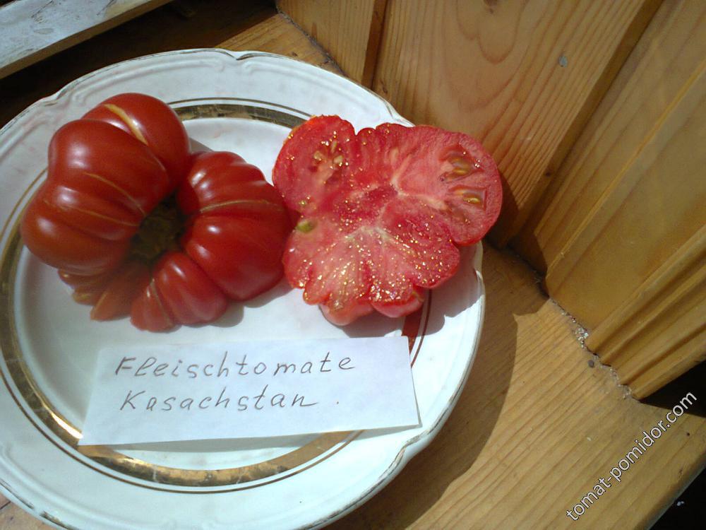 Fleischtomate Kasachstan Фляйштомате Казахстан