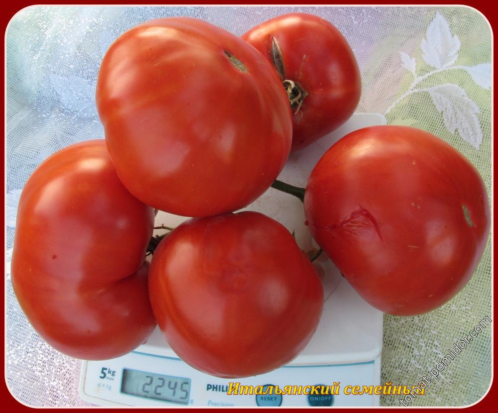 Томат семейный