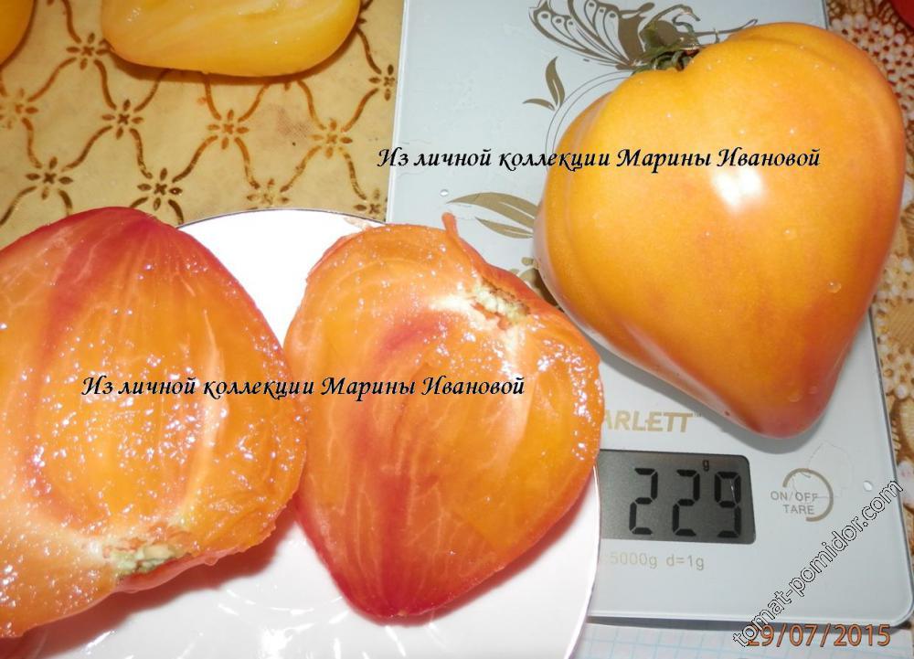 Оранжевый из России