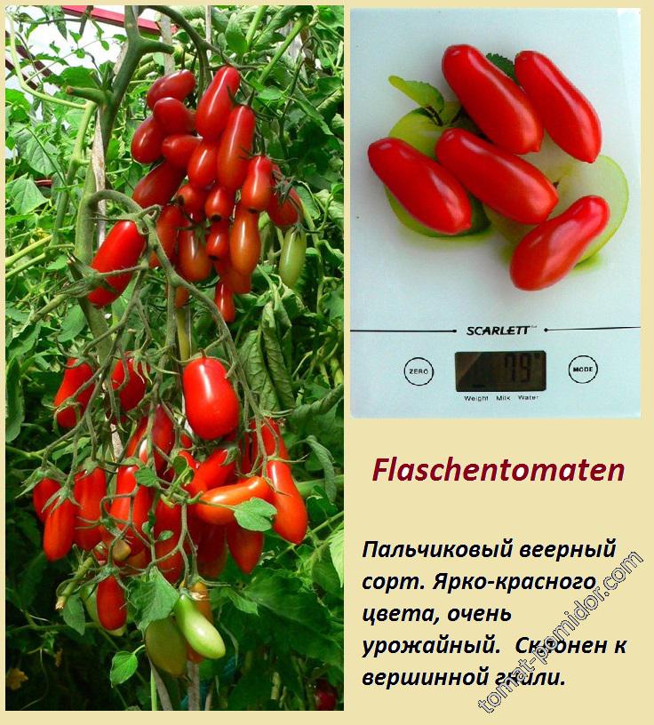 Flaschentomaten