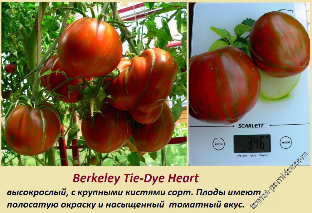Berkeley Tie-Dye Heart