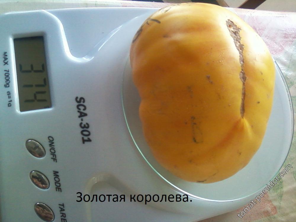 Золотая королева.