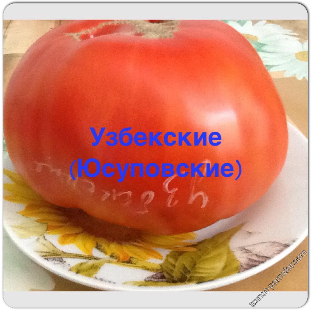 Узбекские ( Юсуповские)