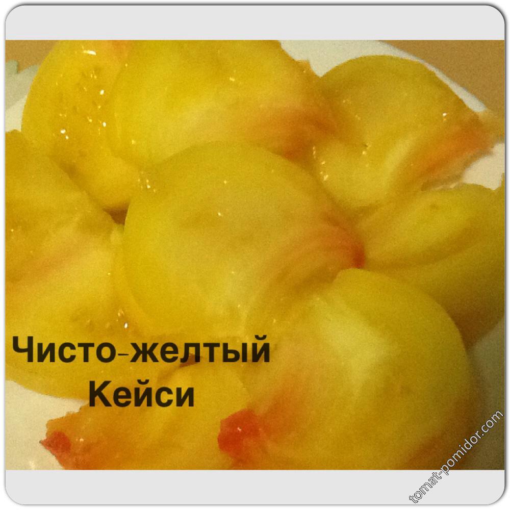 Чисто-желтый Кейси