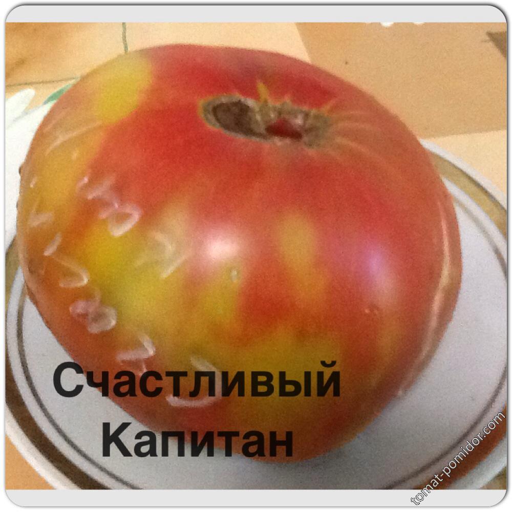 Счастливый Капитан