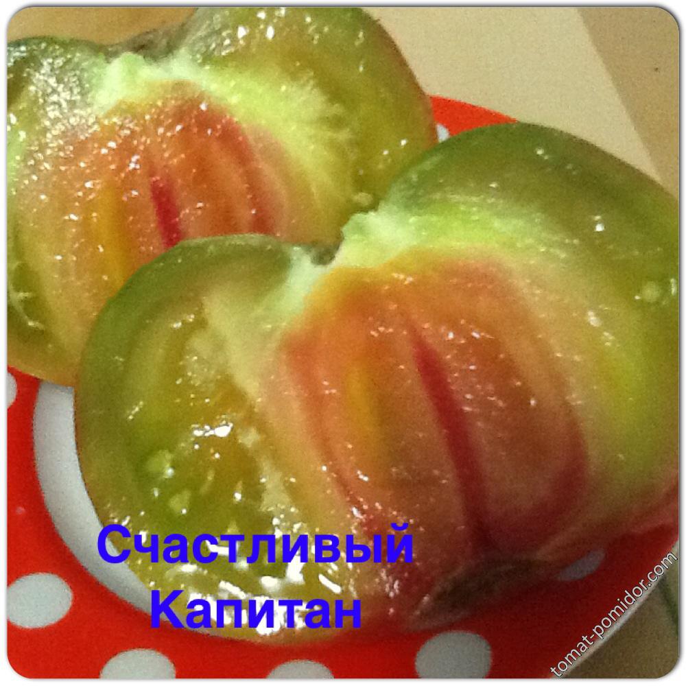 Счастливый Капитан
