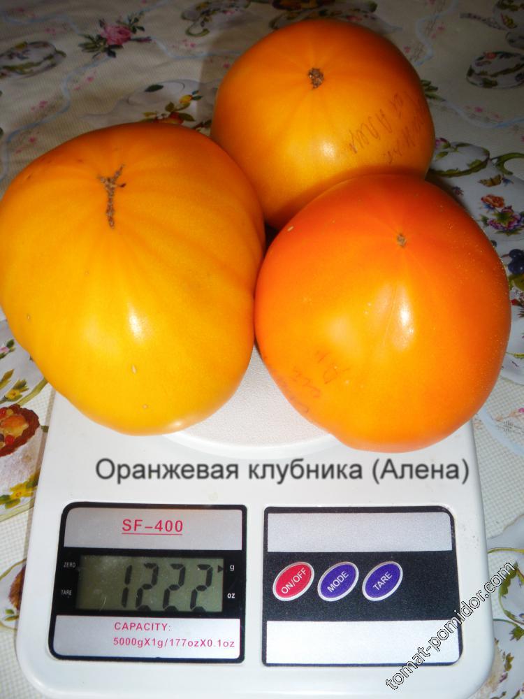 Оранжевая клубника от Аленки