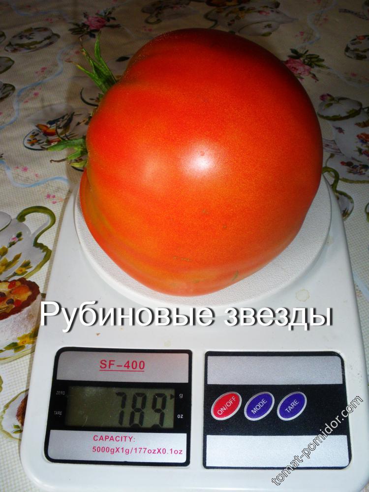 Рубиновые звёзды - Р — сорта томатов - tomat-pomidor.com - отзывы на форуме