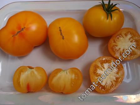 Big Orange (from Amuz) (Большой Оранжевый (от Амуза)