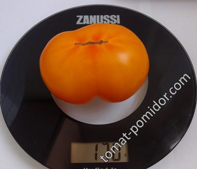 Big Orange (from Amuz) (Большой Оранжевый (от Амуза)