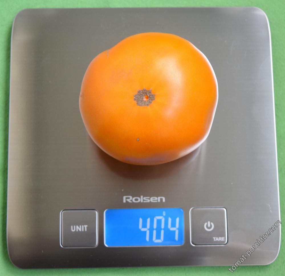 Алтайский оранжевый - А — сорта томатов - tomat-pomidor.com - отзывы нафоруме