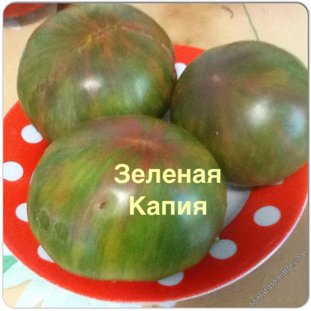 Зеленая Капия (ОГ)