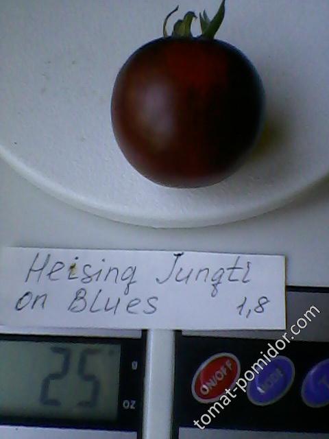 Heising Jungti on Blues