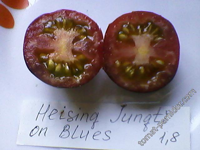 Heising Jungti on Blues