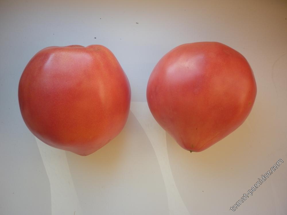 бабушка на Спортивной(от местной бабушки)