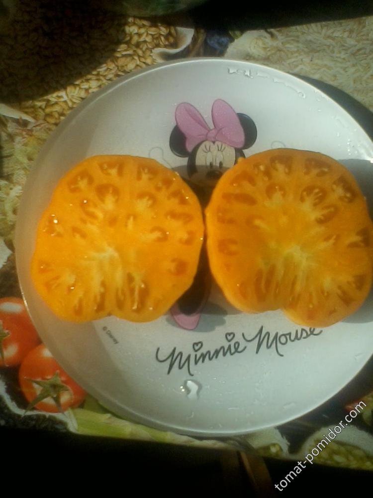 Persimmon  в разрезе