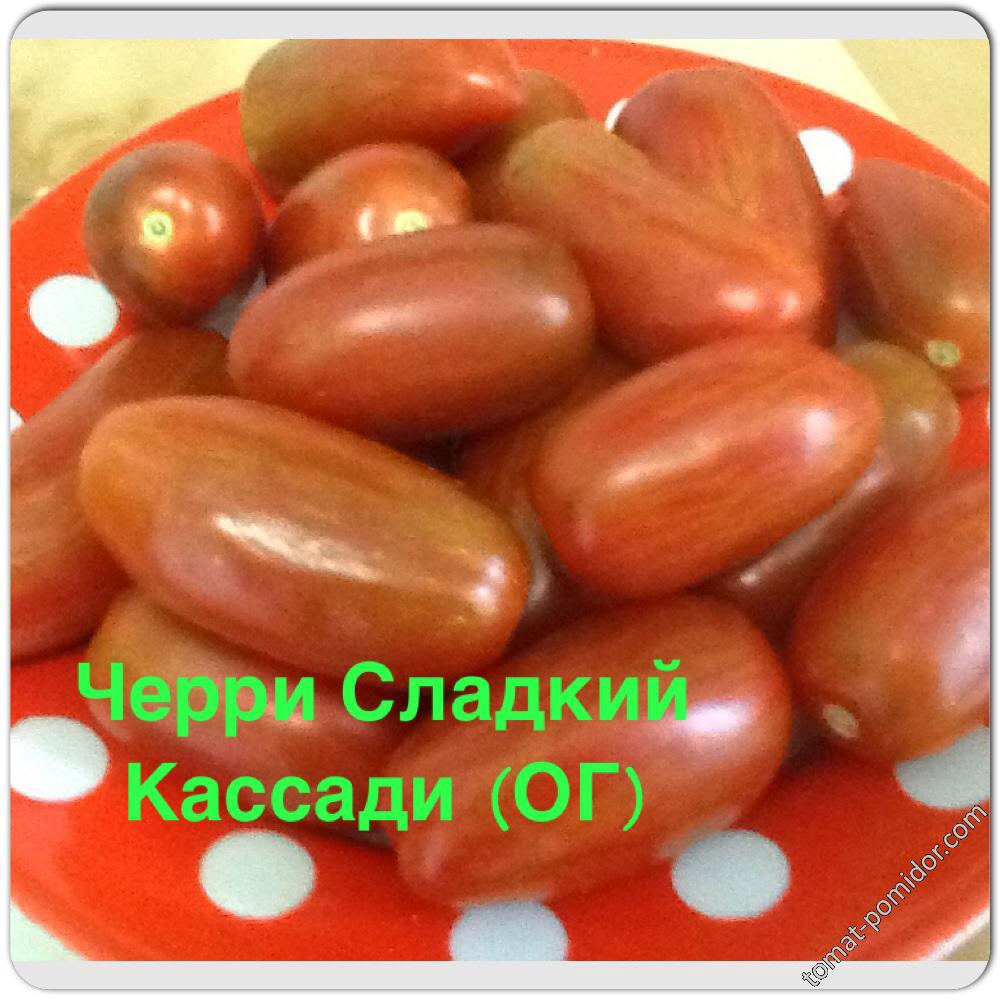 Черри Сладкий Кассади (ОГ)