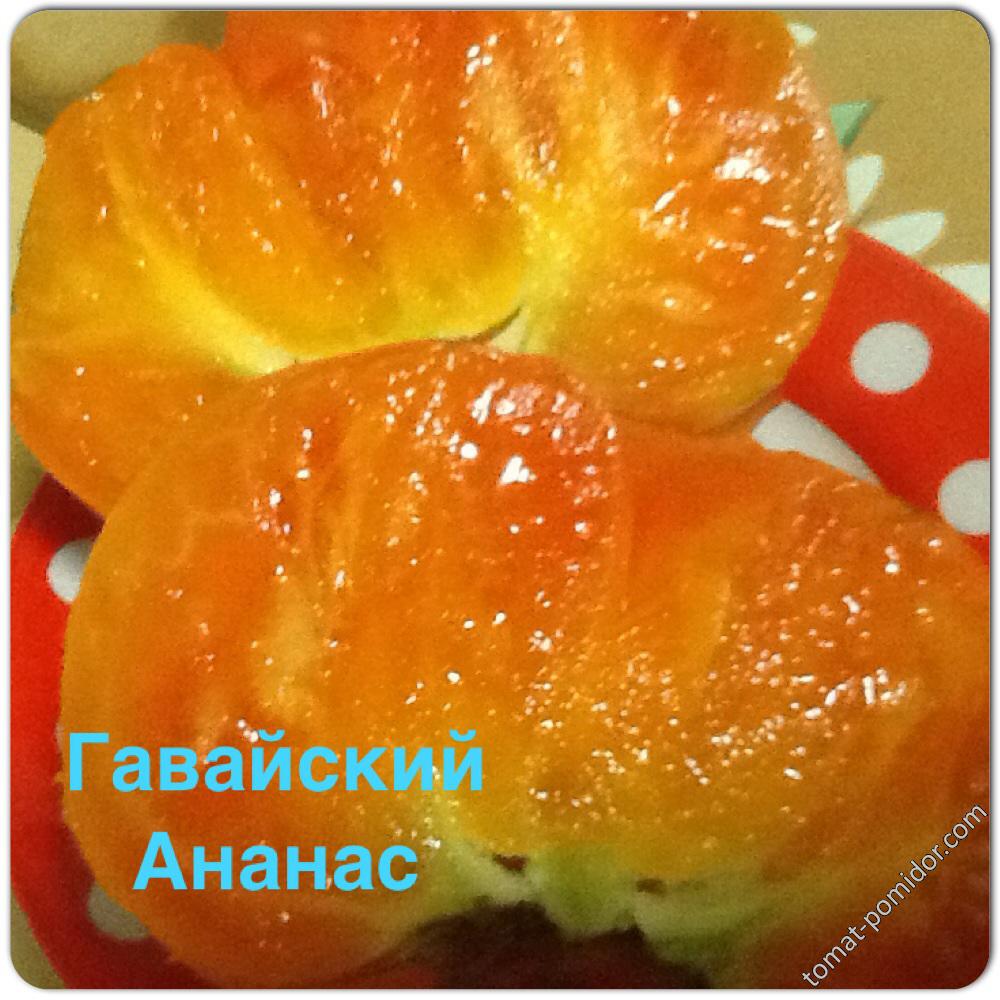 Гавайский Ананас (ОГ)