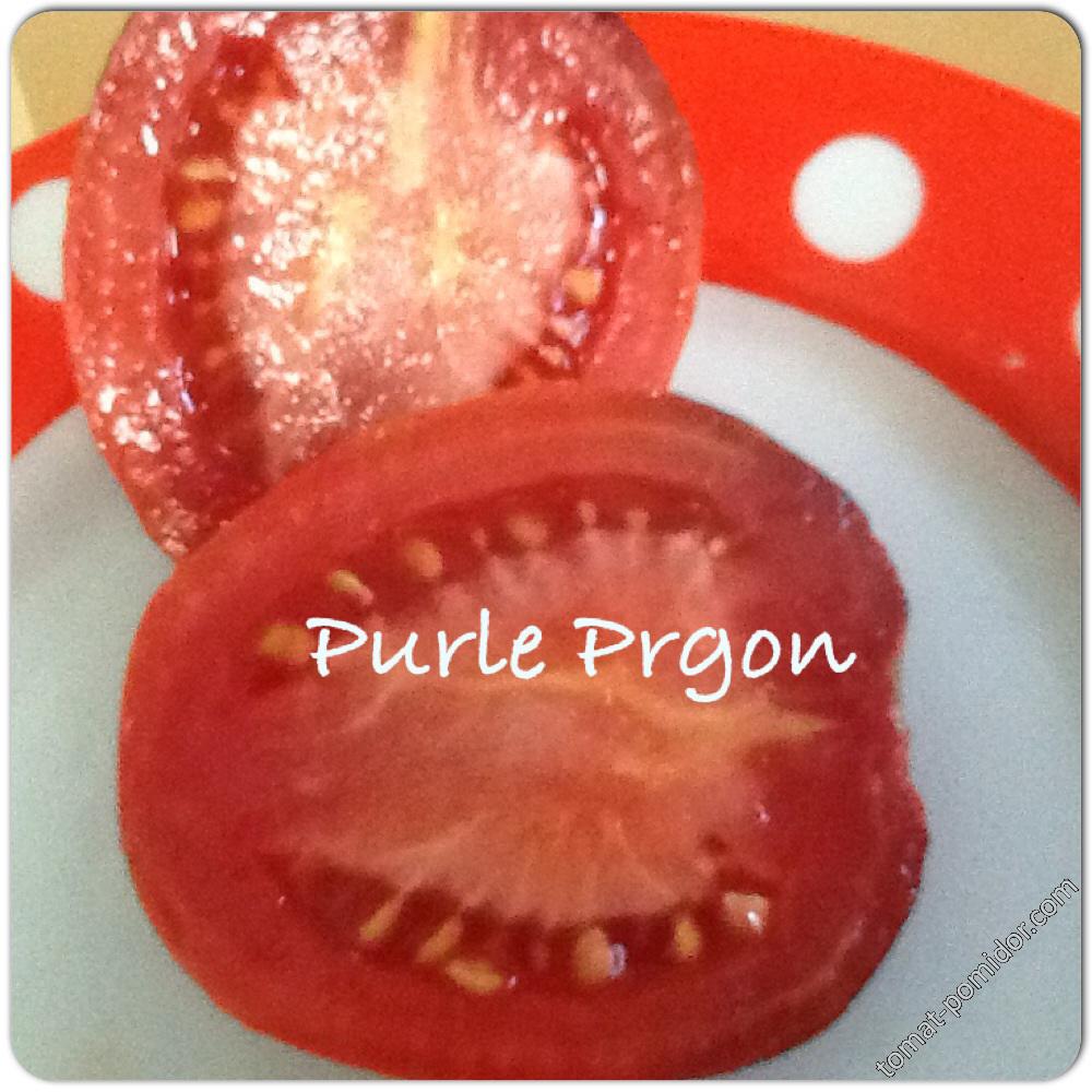 Purle Prgon