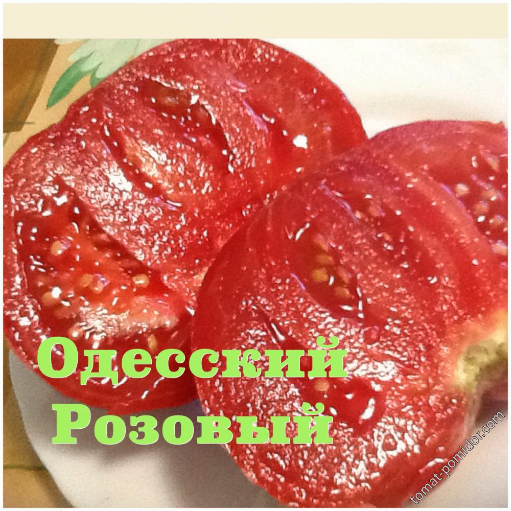 Одесский Розовый (теплица)