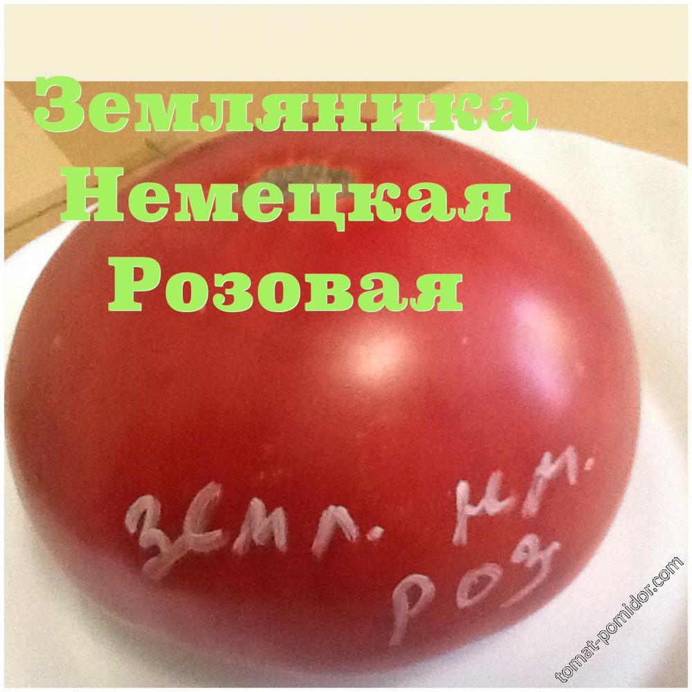 Земляника Немецкая Розовая (теплица)