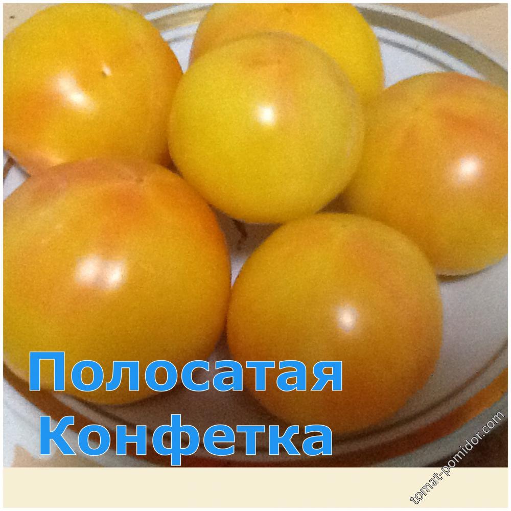 Полосатая Конфетка