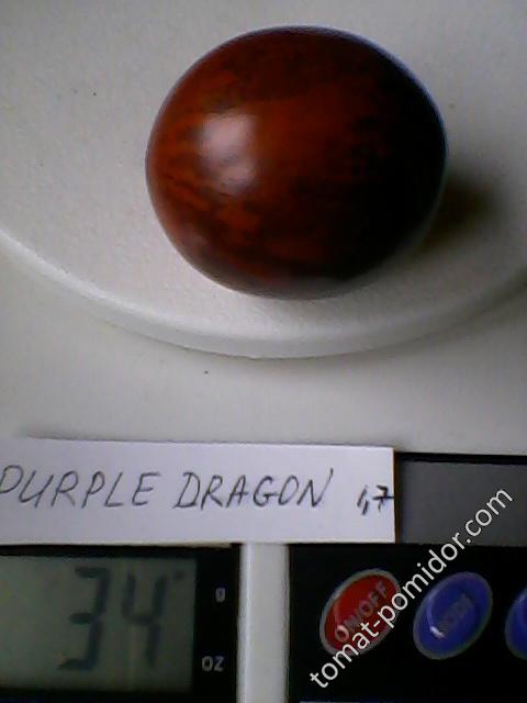 Purple Dragon   (Кулик)