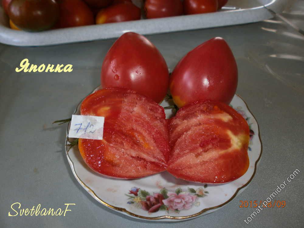 Томат японка описание урожайность. Сорт томата японка. Японка 2 томат. Японские помидоры сорта. Помидоры розовые японка.
