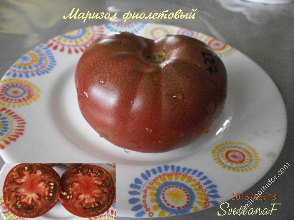 Маризол фиолетовый