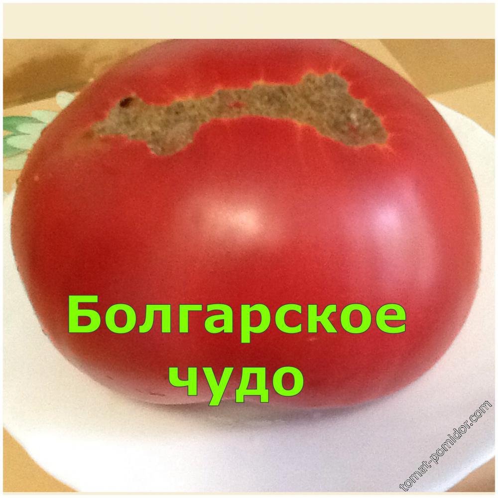 Болгарское Чудо