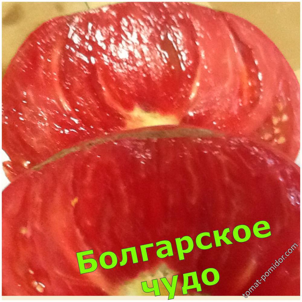 Болгарское Чудо