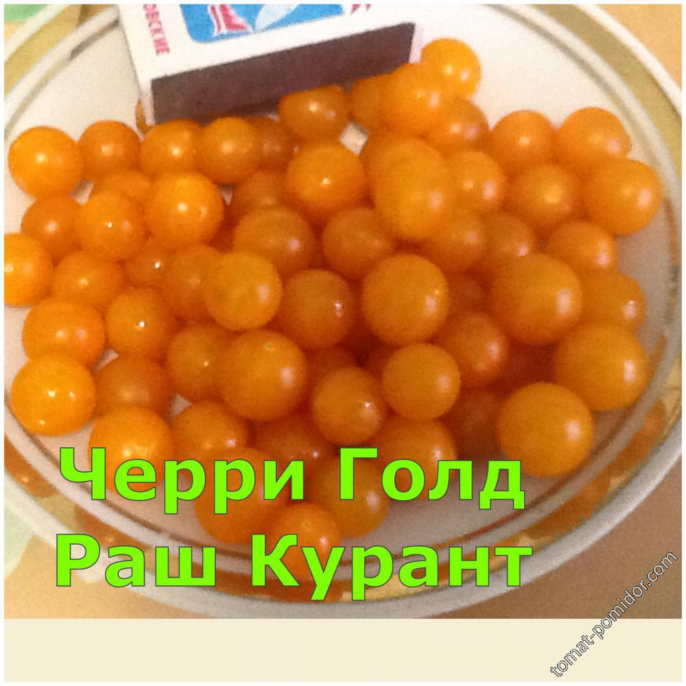 Черри Голд Раш Курант