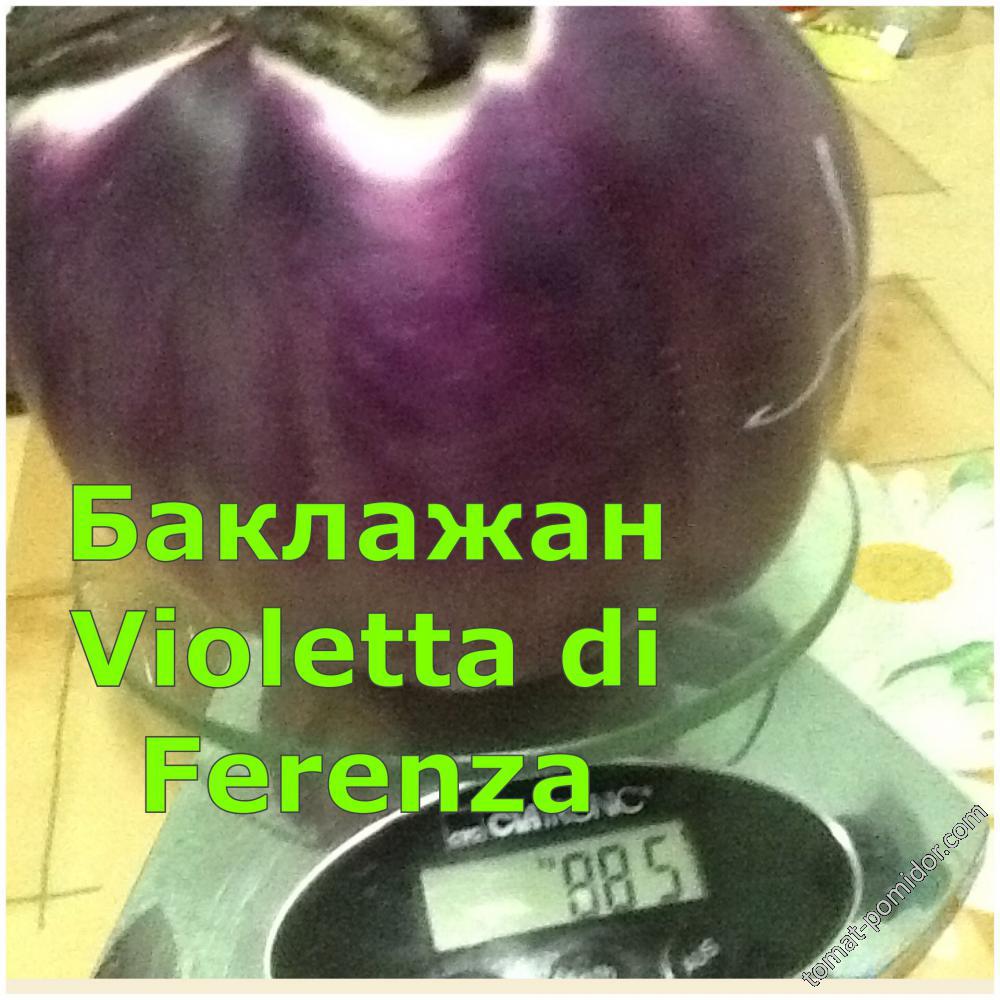 Баклажан Violetta di Ferenza
